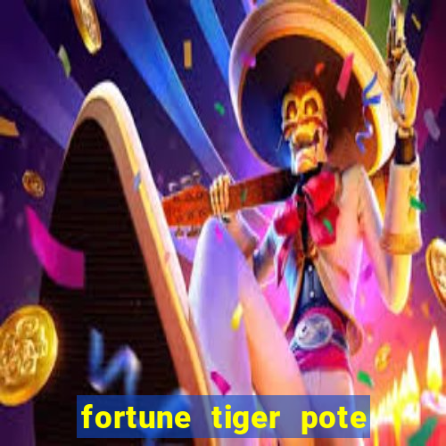 fortune tiger pote de ouro completo